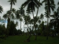 2005022213 Tahiti (February 27 - 28, 2005)