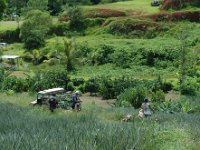 2005022254 Tahiti (February 27 - 28, 2005)