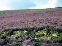 1986082258 Darrel & Betty Hagberg - England Wales Scotland