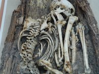 2008062310  Betty-Darrel-Yvette-Felicia-Suzette-Adara London UK