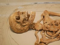 2008062315  Betty-Darrel-Yvette-Felicia-Suzette-Adara London UK