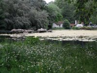 2008062382  Betty-Darrel-Yvette-Felicia-Suzette-Adara London UK