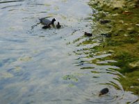 2008062391  Betty-Darrel-Yvette-Felicia-Suzette-Adara London UK